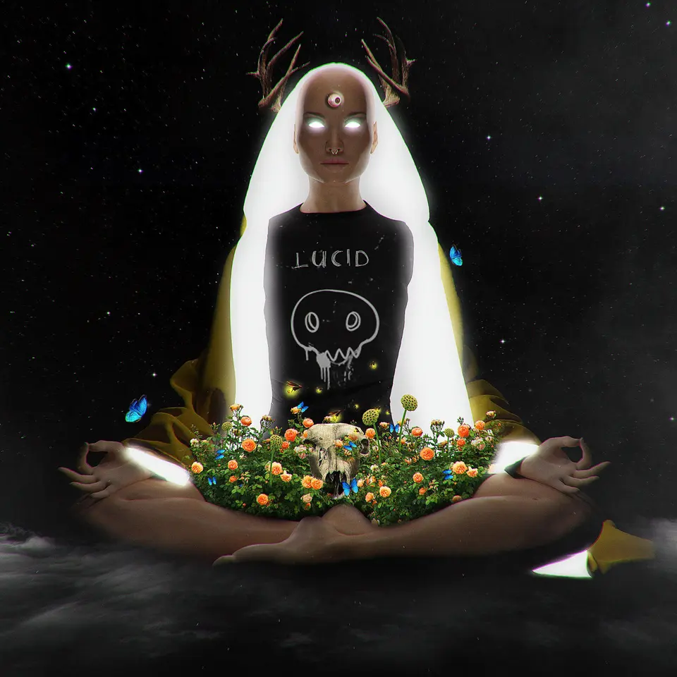 Lucid — detail