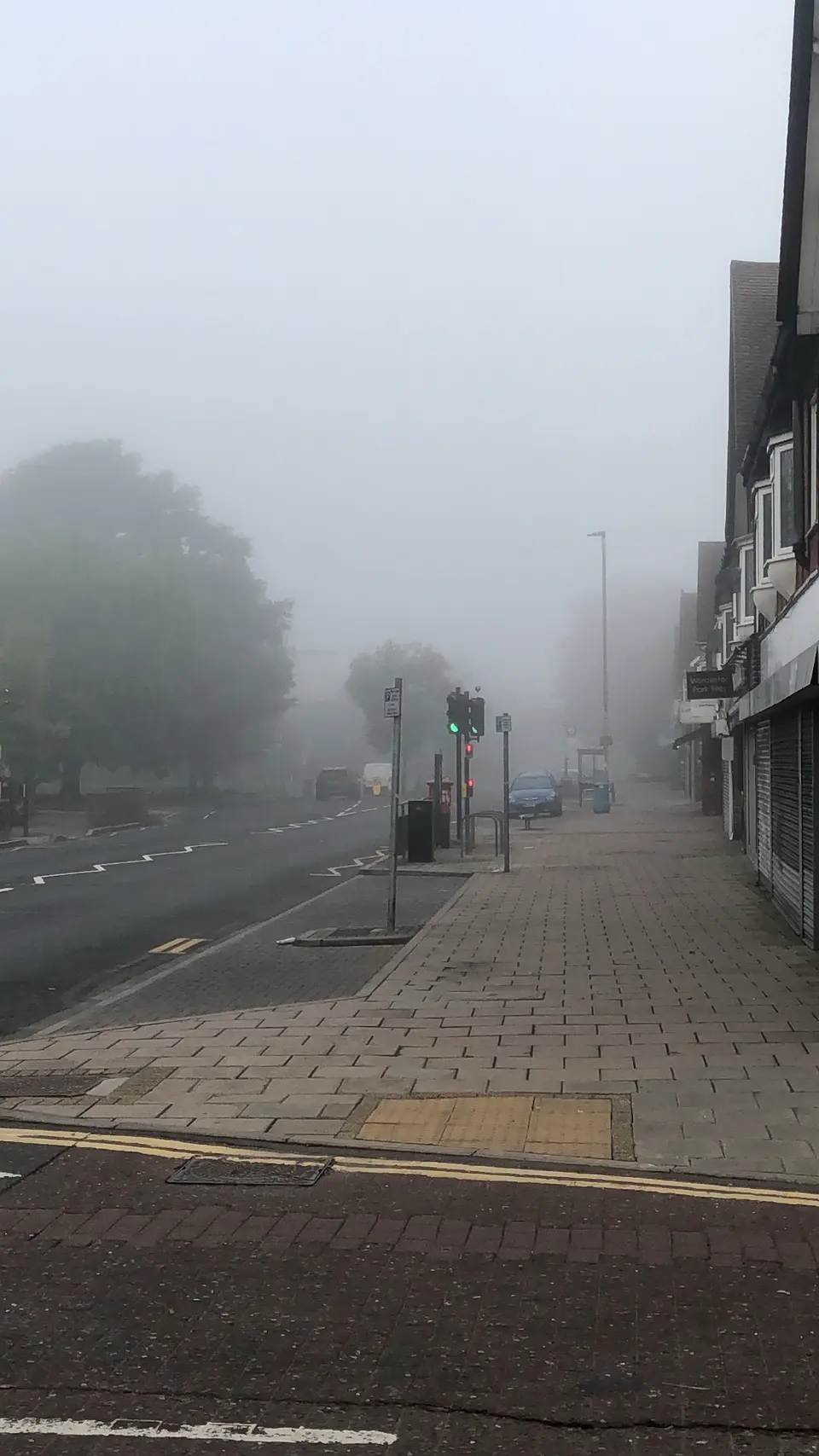 FOG Day — Photo